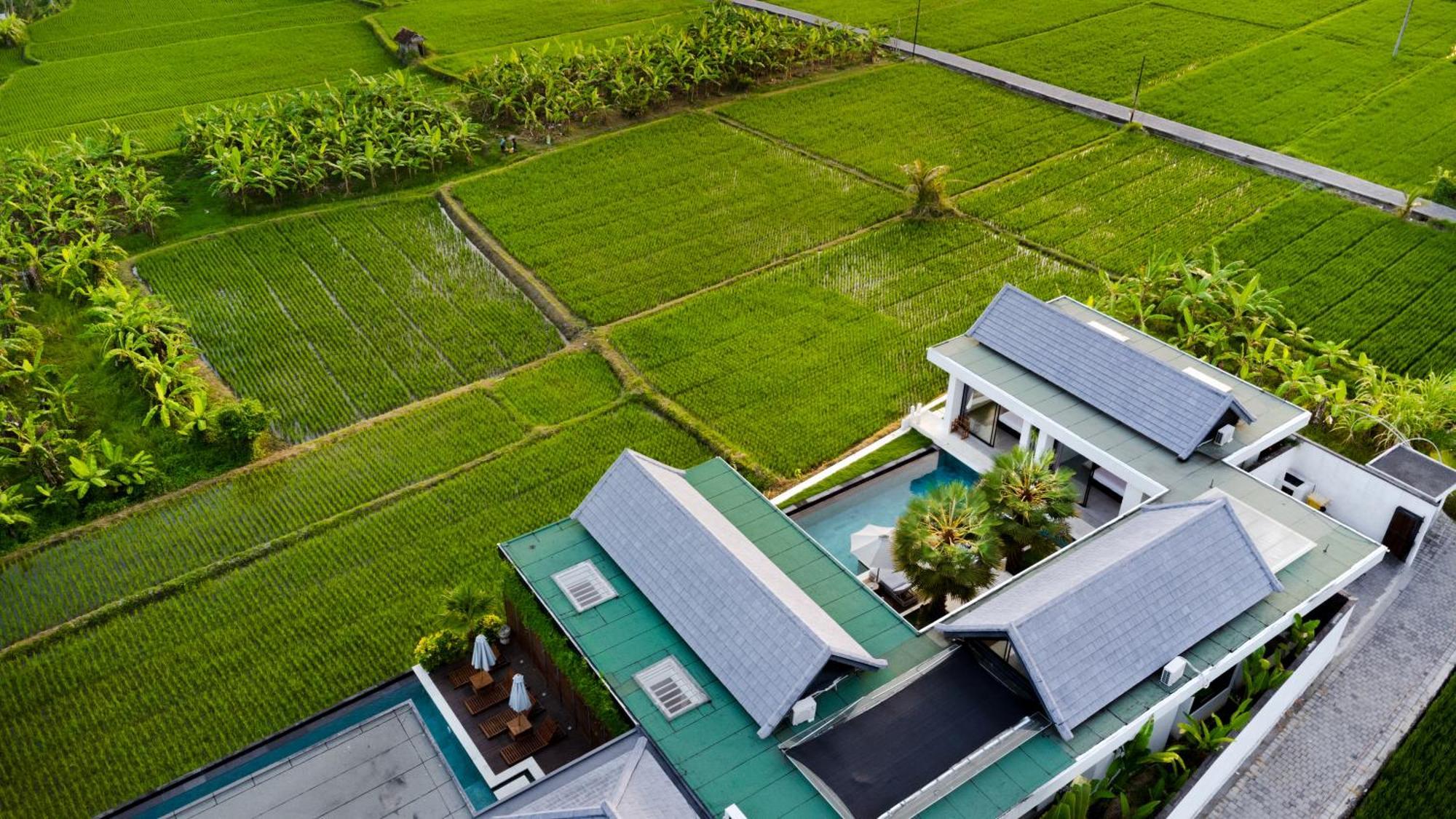 Villa Lina By Balisuperhost Ubud Eksteriør bilde